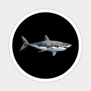 Great White Shark Magnet